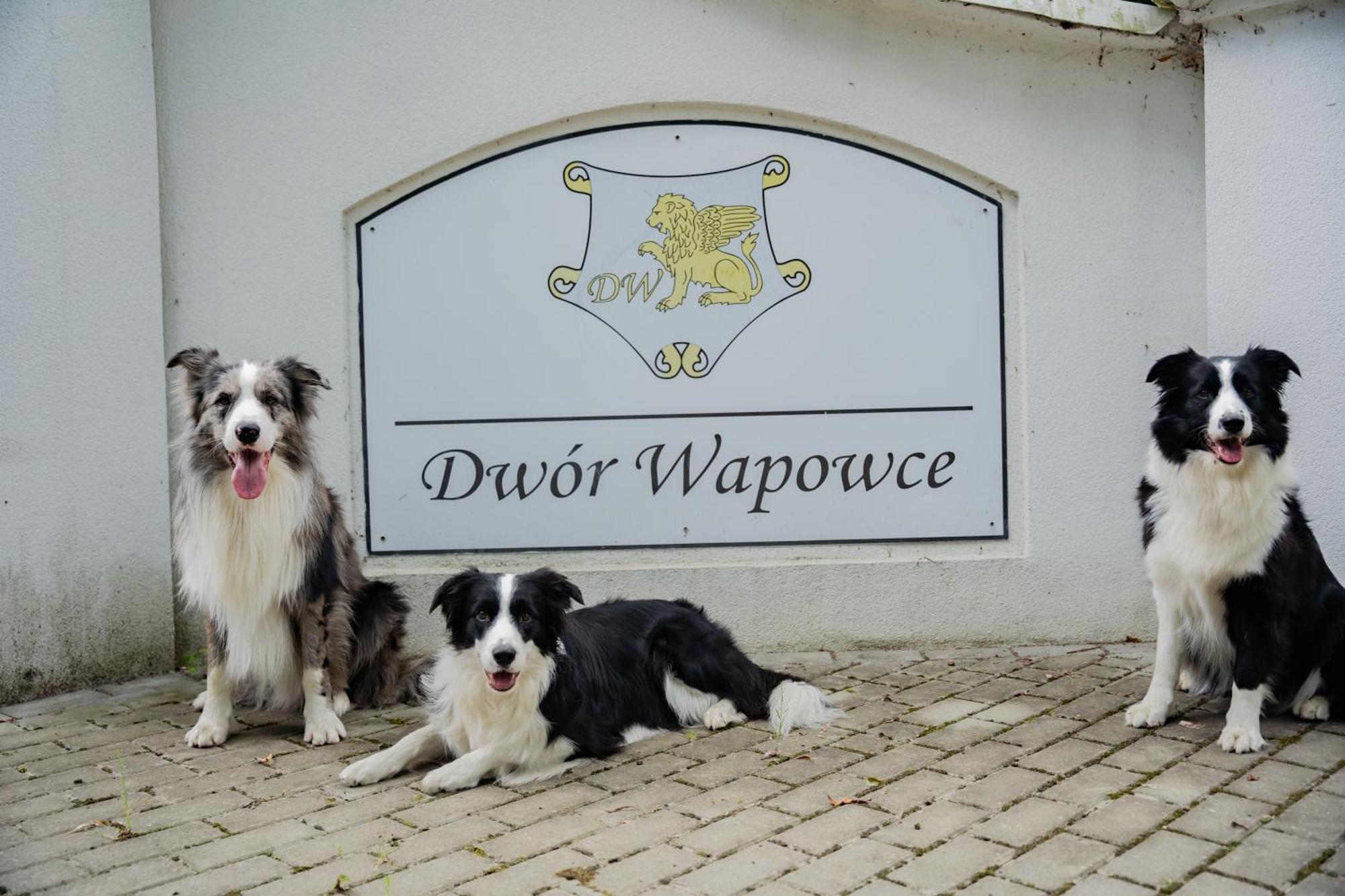 Dwor Wapowce Hotel Ngoại thất bức ảnh